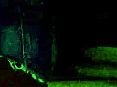 Hotpants And Shiny Pantyhose Detailed View.