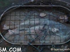 t beauty's adventure fucking her holes with toys.