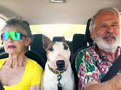 driving around east oahu chatting about wild sexual stuff