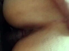 De Perrito Con Mi Novia!