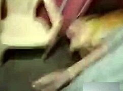 group handjob session turns intriguing