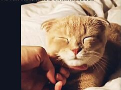 Passa La No Meu Canal Do You Tube Make69