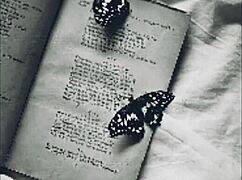 Passa La No Meu Canal Do You Tube Make69