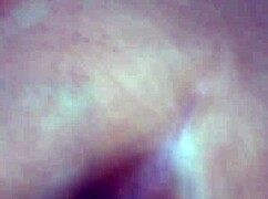 A Beautiful BBW Latina Woman Poses Casually