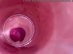 Female Insemination Caught on Internal Camera with Deep Male Ejaculation in Tight Wet Pussy