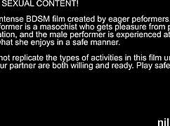 Hot Kitten Dragged to Ass Hole Asylum for Brutal Therapy!