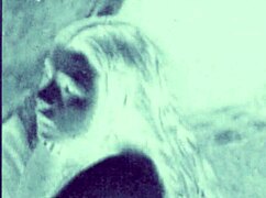 Exploring vintage erotic art pieces