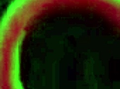 bramo il bbc di Rome Major, sogno di Destiny 18+