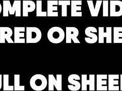 i got fucked by a huge black guy, clothes ripped, cum everywhere