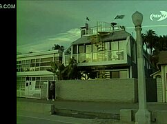 we could be caught but i'm too horny