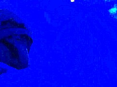 black toes worship big feet in footjob fetish