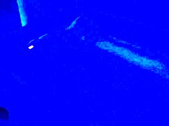 black toes worship big feet in footjob fetish