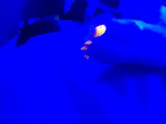 black toes worship big feet in footjob fetish