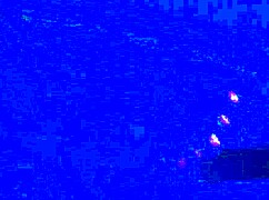 black toes worship big feet in footjob fetish