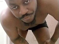 Scorpio Wolf Returns To Messy Room With Pet Dog