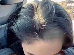 The best cream pie is speedyfuckers dick