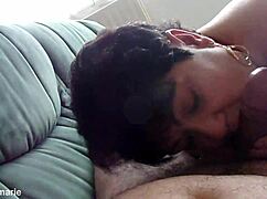 Friendly dog enjoys a casual walk