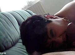 Friendly dog enjoys a casual walk