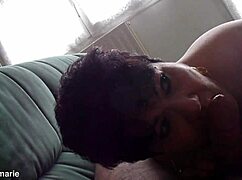 Friendly dog enjoys a casual walk