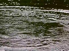 donnabella mortel sexy bikini babe in freshwater