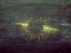 female anatomy different pussy types