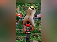 Zea812 Update 225 from July 08 2025