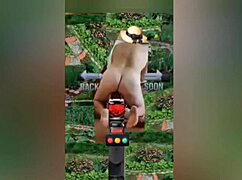 Zea812 Update 225 from July 08 2025