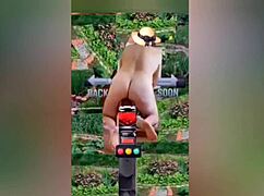 Zea812 Update 225 from July 08 2025