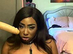 Lexo Butterfly Submissively Sucks Ebony Cock With Spitting Submission