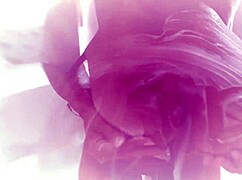 Sharing My Hot Brazilian Milf Wife's Body