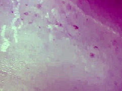 my wife flashes with ex and husband