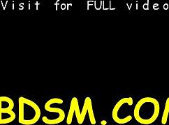 Hottie Chained In Shackles During Sadomasochism Session