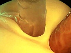 Double Hole In Pink Pussy