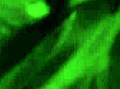 bound and bred redheads getting rough in bed