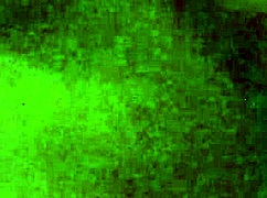 Delhi Girlfriend's Leaked Video Reveals Intimate Moments