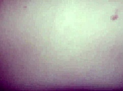 my argentinian stepsister with big ass rides my monster cock hard