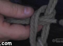 gagged beauty enjoys clamped nipples