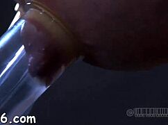 gagged beauty enjoys clamped nipples