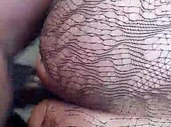 pussy lips gently holding dick inside her tight hole