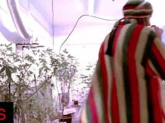 Sexy Mom Double Fucked in Missionary and Anal