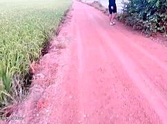 Young Couples Enjoy Intimate Moments In Rice Field