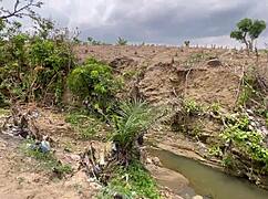 We fucked in the forest