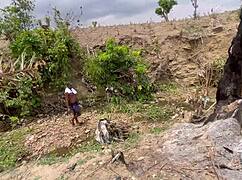 We fucked in the forest