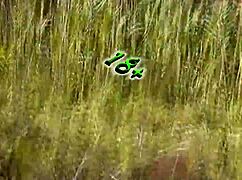 on wild beach pervert jerks off to naked blonde sunbathing