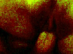 Young Latina In Homemade Video