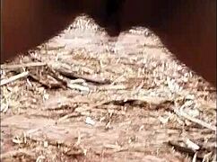 feeling intense pleasure during anal sex in the field