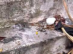 Horny Girl with Pink Pussy Climbs Hill to Offer Wet Pussy Publicly