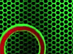 babe jelena jensen's massive tits in scene after deep throat