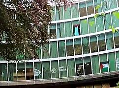 THE PORTLAND PAWG BUBBLE BUTT RIDES HARD!