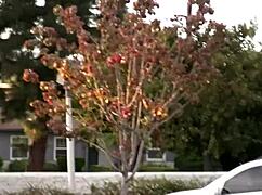 esperanza diaz plots revenge against her cheating boyfriend with a friend